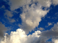 SOTTO LO STESSO CIELO - 2020